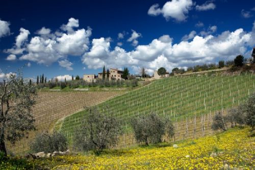 Farmhouses, Gaiole in chianti, Siena, S353