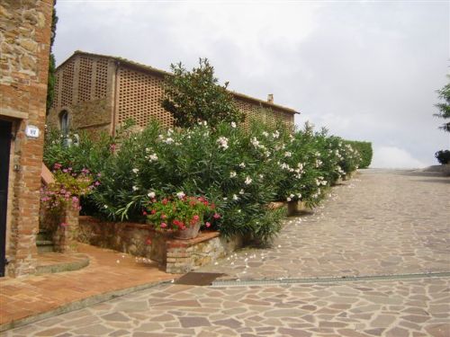 Farmhouses, Montaione, Firenze, S358